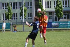 DSC_0785-1024x684