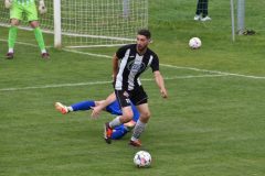 DSC_0257-1024x684
