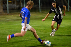 Divize-Hluboka-nad-Vltavou-–-Milevsko-16-1024x827