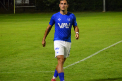 Divize-Hluboka-nad-Vltavou-–-Milevsko-2-1024x818