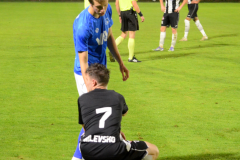 Divize-Hluboka-nad-Vltavou-–-Milevsko-20-1024x948