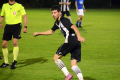 Divize-Hluboka-nad-Vltavou-–-Milevsko-4-1024x769