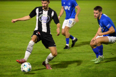 Divize-Hluboka-nad-Vltavou-–-Milevsko-5-1024x751