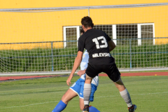 Milevsko-–-Mirovice-1-1024x780