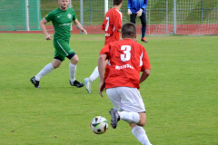 Milevsko-B-–-Cizova-2-1024x820