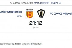 Stakonice