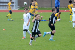 Starsi-pripravka-–-KP-v-Milevsku-21-1024x678