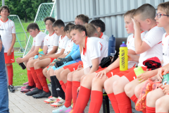 Milevsko-B-–-Mirovice-15-1024x711