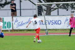 Milevsko-B-–-Mirovice-22-1024x678