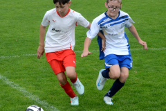 Milevsko-B-–-Mirovice-26-1024x853